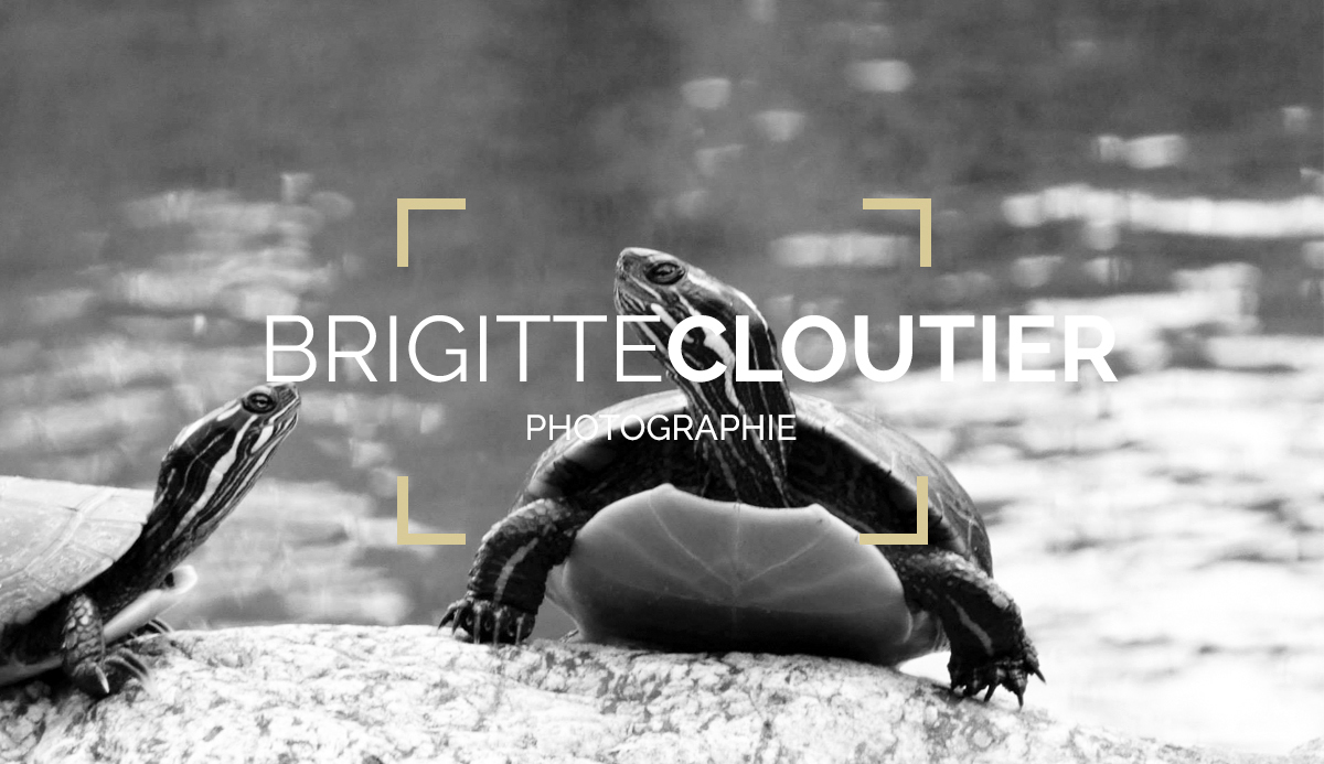 01 Brigitte Cloutier_biz cards_endos